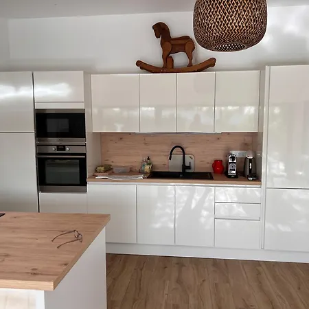 Robinia Cormier 150 M De La *