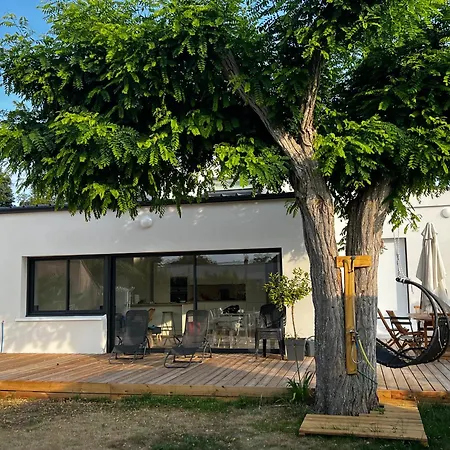 Robinia Cormier 150 M De La *