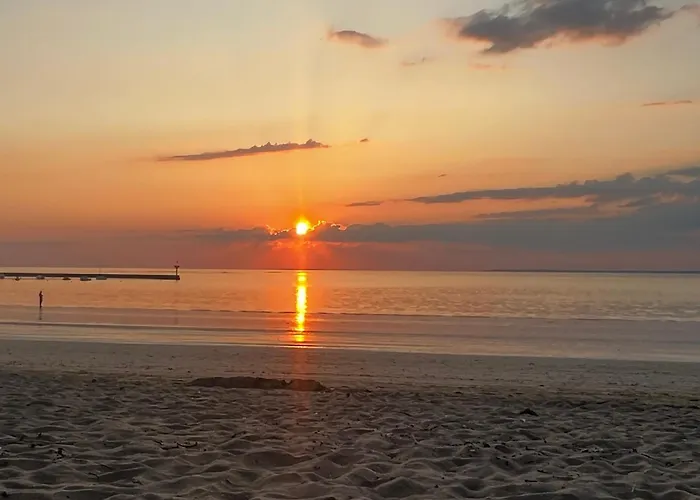 Robinia Cormier 150 M De La La Plaine-sur-Mer